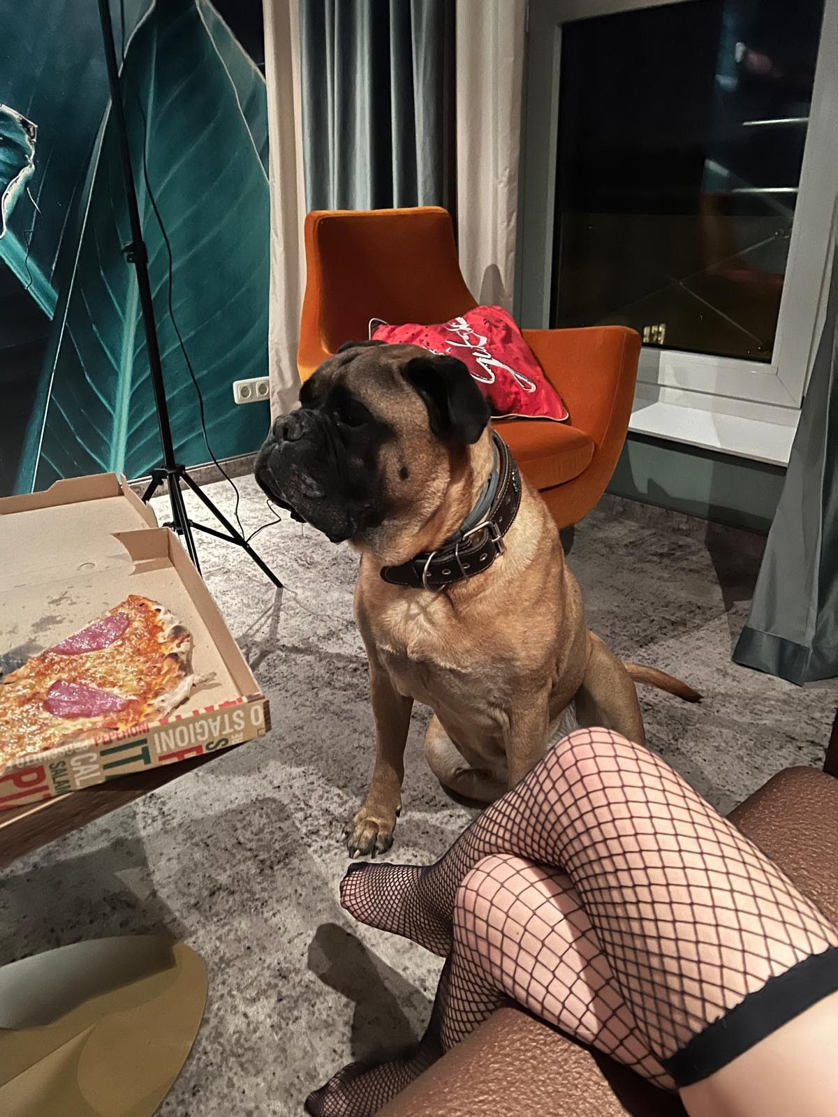 Pizza und entspannte Atmosphäre nach dem Shooting